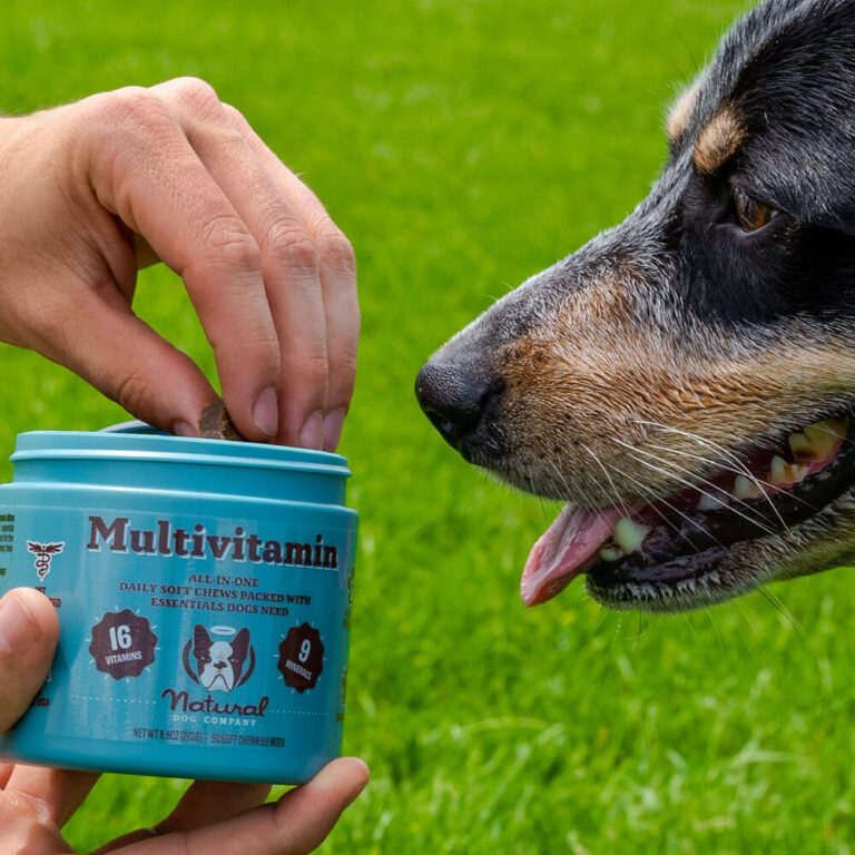 Why NaturalDog is the Ultimate Choice for Your Pet’s Health and Wellness