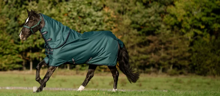 Best GS Equestrian Gear For Riders Who Value Comfort And Performance