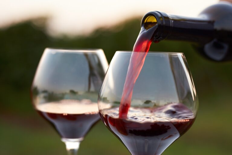 Due Rosso Giannitessari 2023: la scoperta quotidiana firmata Callmewine