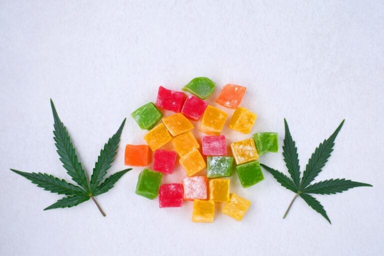 A Practical Guide to Choosing Quality CBD Wellness Products