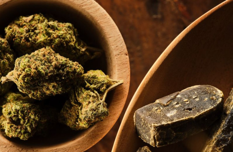 CBD Built on Trust, Not Trends