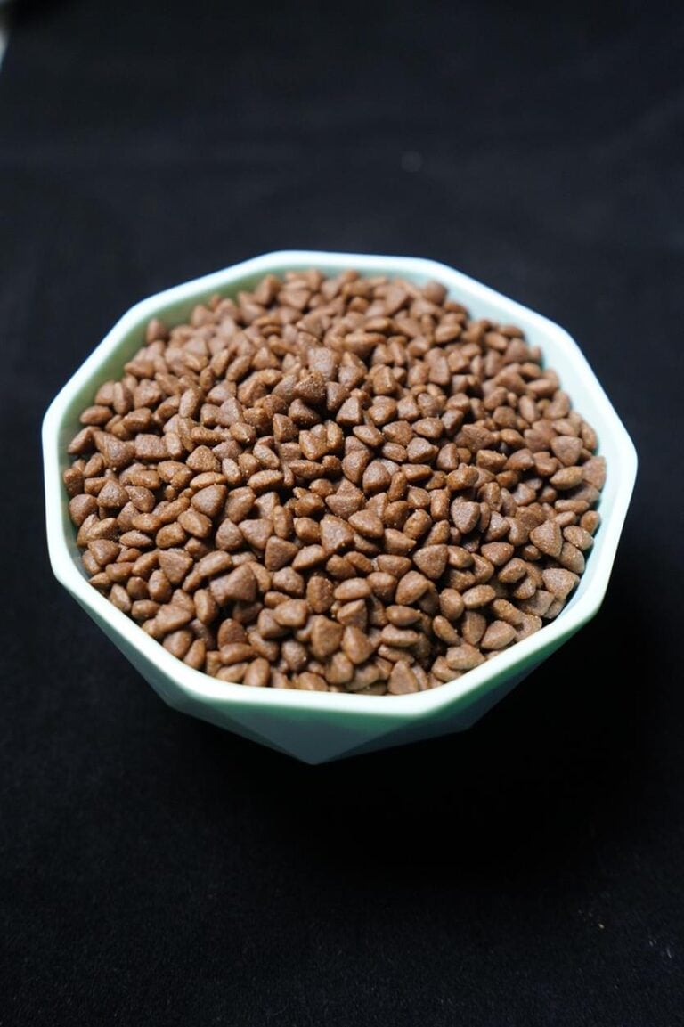 THE GOODSTUFF ist eine Premium-Tierfuttermarke, die auf einer einfachen Überzeugung basiert: Die Natur weiß es am besten. Hunde und Katzen haben sich mit spezifischen Ernährungsbedürfnissen entwickelt, und ihr Futter sollte diese natürliche Struktur respektieren. Inspiriert von den Prinzipien der BARF-Ernährung (Biologisch Artgerechtes Rohes Futter) kreiert THE GOODSTUFF frische, einfache und ernährungsphysiologisch ausgewogene Rezepturen – ohne unnötige Zusatzstoffe oder künstliche Verarbeitung. THE GOODSTUFF bietet eine moderne und verantwortungsvolle Alternative zu stark verarbeitetem Tierfutter für Hunde und Katzen.