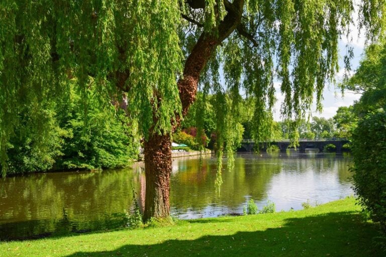 Landal GreenParks ist ein bekannter Ferienparkbetreiber in Europa und bietet komfortable Unterkünfte inmitten der Natur. Das Unternehmen hat sich auf Ferienparks in malerischen Naturgebieten wie Wäldern, Küsten, Bergen und ländlichen Gegenden spezialisiert. Mit einem starken Fokus auf Nachhaltigkeit, Outdoor-Aktivitäten und familienfreundliche Erlebnisse hat sich Landal GreenParks zu einer beliebten Wahl für Reisende entwickelt, die einen erholsamen und naturnahen Urlaub suchen. Heute betreibt das Unternehmen Dutzende von Ferienparks in mehreren europäischen Ländern und begrüßt jährlich Millionen von Gästen.