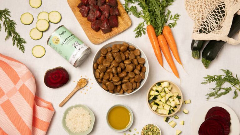Comment une transition alimentaire progressive protège le confort digestif du chien
