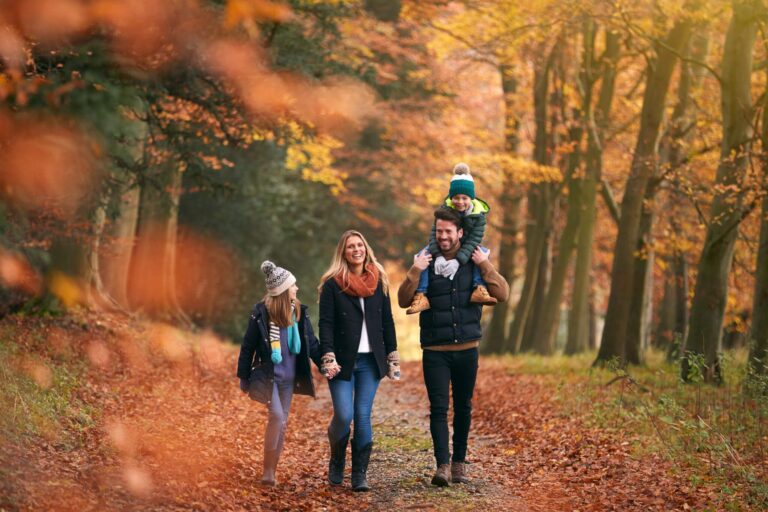 BEECH Resorts by Location Baltic Sea vs. Lake vs. Countryside Experiences