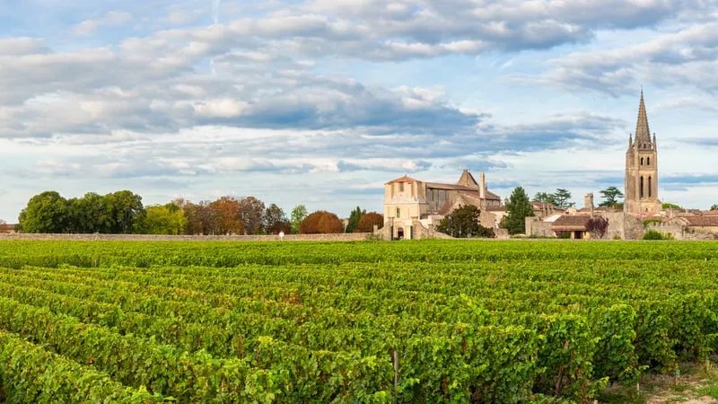 Église et vignobles verdoyants le long d'une rivière en France, paysage rural typique