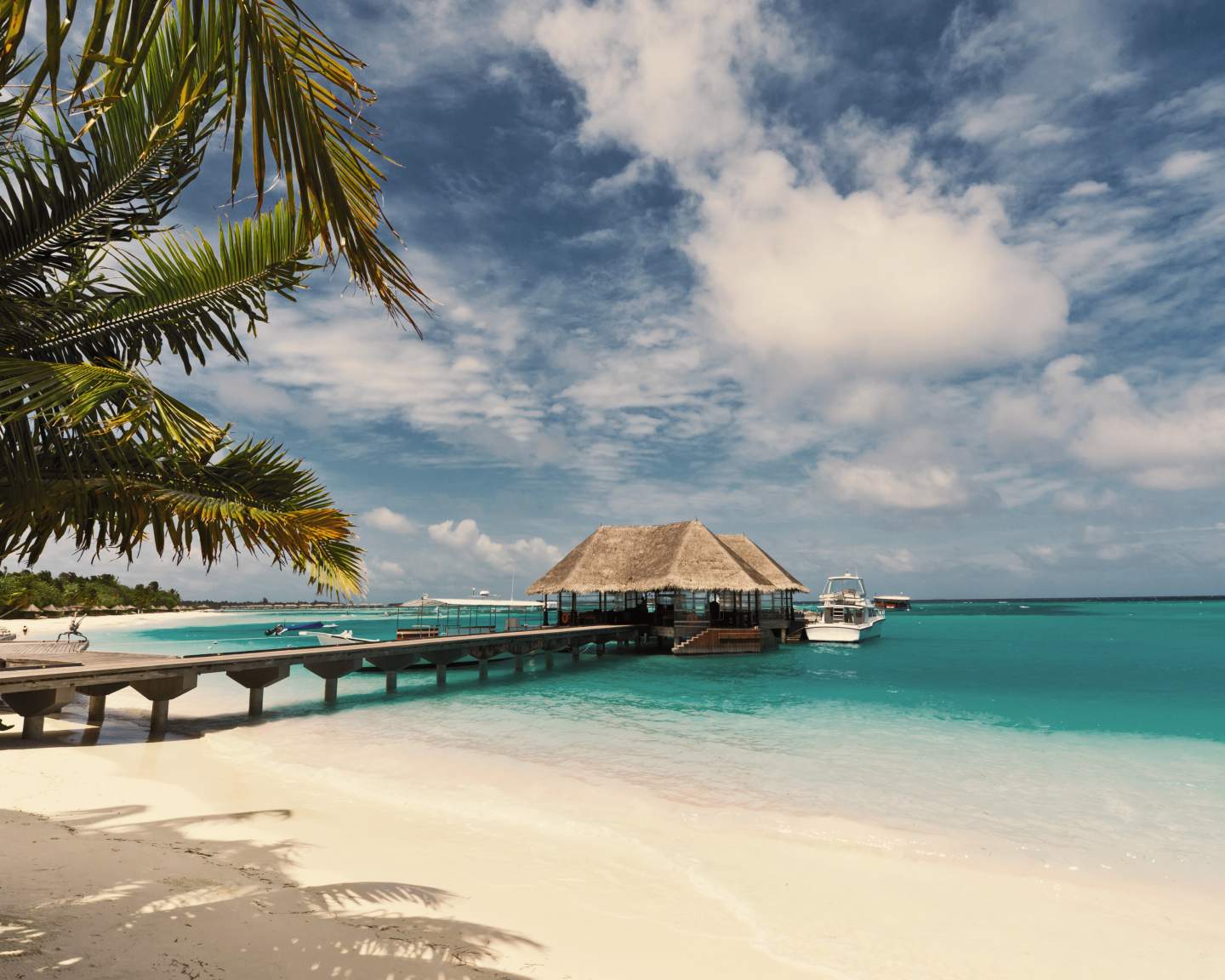 Tropical beach resort with thatched-roof overwater bungalows, palm trees, and turquoise lagoon waters