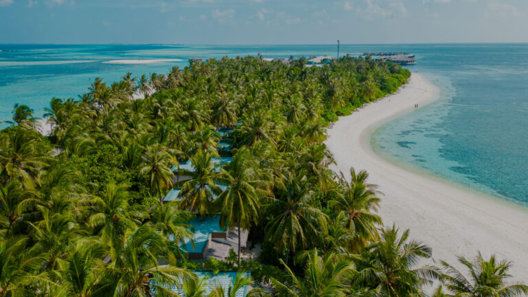 Luxury Island Wellness Retreats in the Maldives and Zanzibar